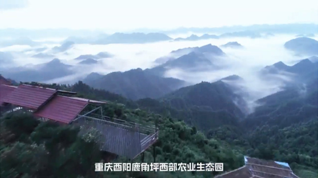 視(shì)頻(pín)标題