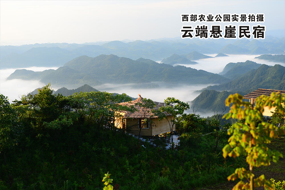 懸崖民(mín)宿夏景