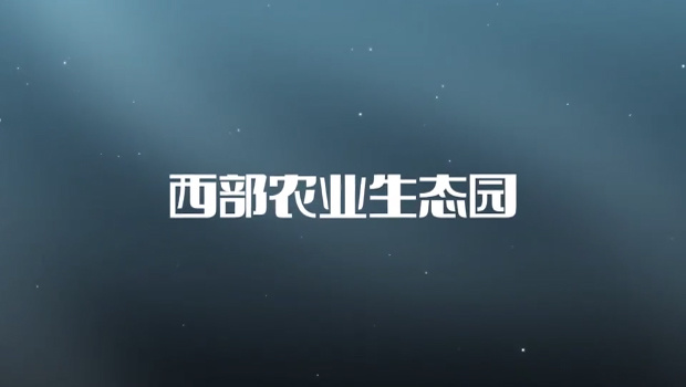 視(shì)頻(pín)标題