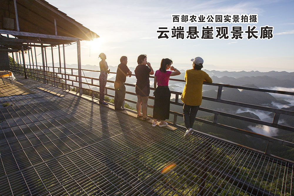 雲端懸崖觀景長(cháng)廊